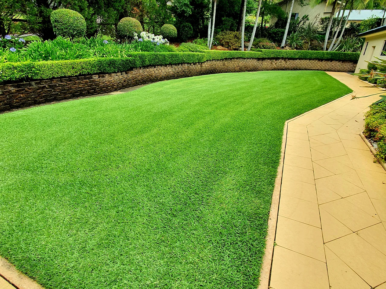 The Lawn Doctor 2U ongoing lawn care program